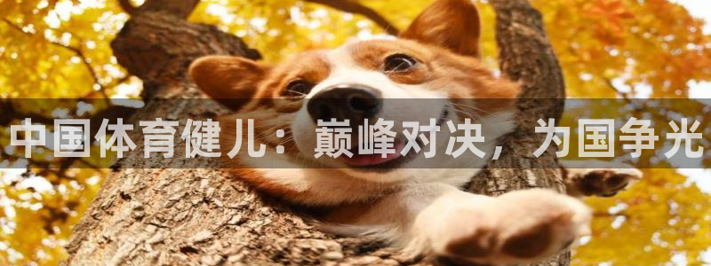 一竞技官网下载平台假的吗是真的吗吗：中国体育健儿：巅