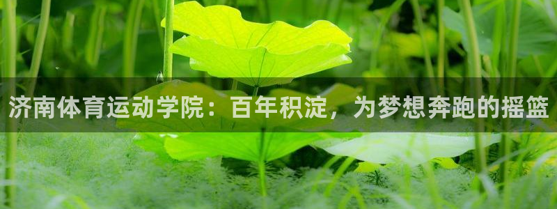 一竞技官方正版app娱乐40996：济南体育运动学院