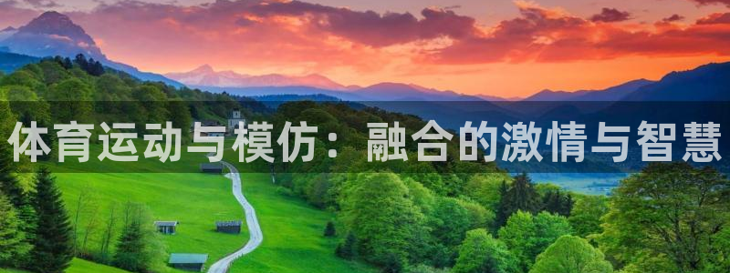 一竞技官方正版app娱乐平台：体育运动与模仿：融合的