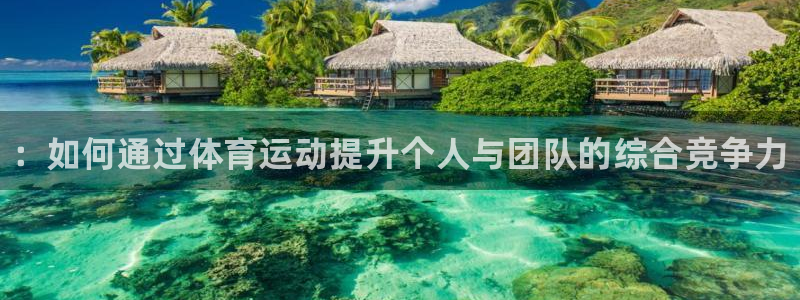 一竞技官网下载联系电话：：如何通过体育运动提升个人与