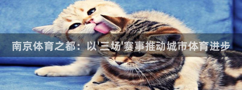 一竞技官网下载平台注册：南京体育之都：以\'三场\'