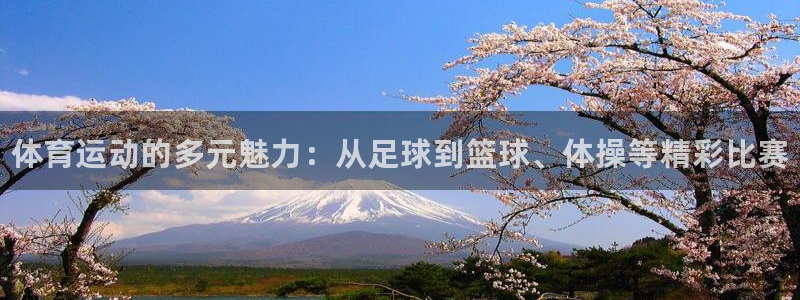 一竞技官方正版app官方：体育运动的多元魅力：从足球