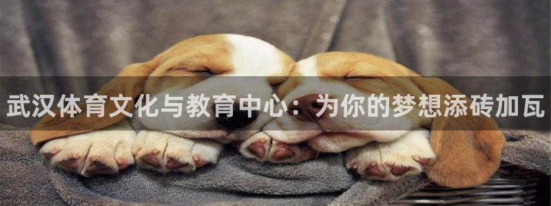 一竞技官网下载平台：武汉体育文化与教育中心：为你的梦