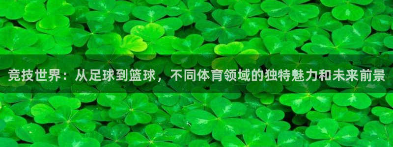 一竞技官网下载：竞技世界：从足球到篮球，不同体育领域