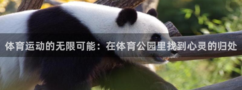 一竞技官网下载平台APP：体育运动的无限可能：在体育公园里找