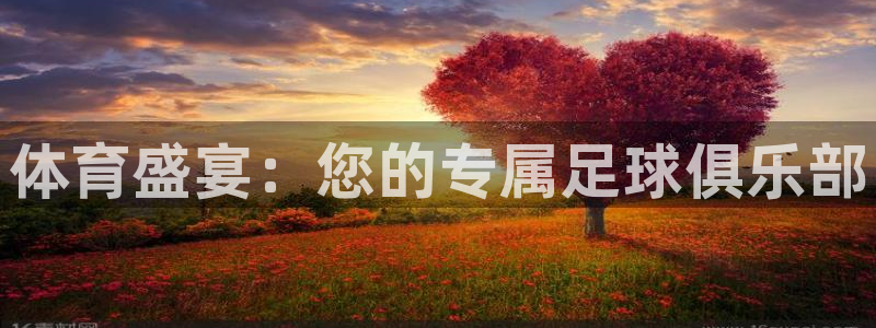 一竞技官方正版app神州：体育盛宴：您的专属足球俱乐部