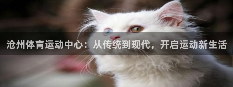 一竞技官方正版app科技：沧州体育运动中心：从传统到现代，开