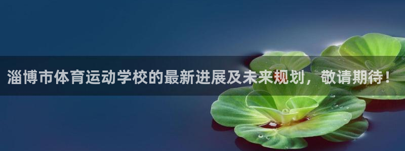 一竞技官网下载平台APP：淄博市体育运动学校的最新进展及未来