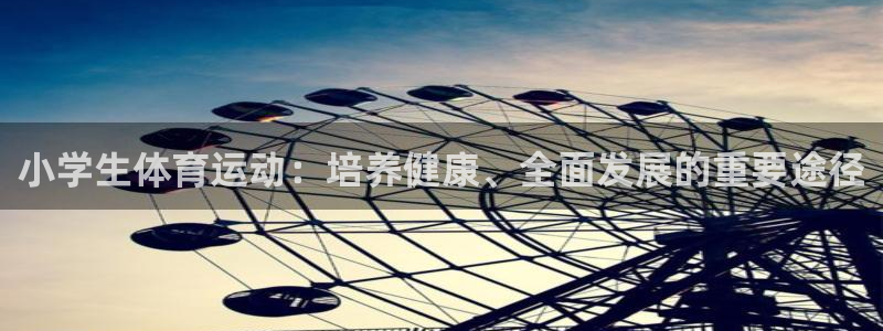 德国一竞技官方正版app集团：小学生体育运动：培养健康、全面
