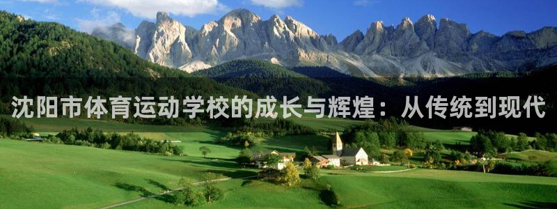 一竞技官网下载平台APP：沈阳市体育运动学校的成长与辉煌：从