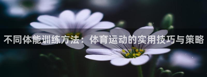 一竞技官网下载招商电话地址是多少：不同体能训练方法：体育运动