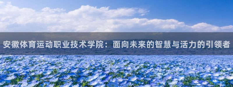 一竞技官网下载平台注册要钱吗：安徽体育运动职业技术学