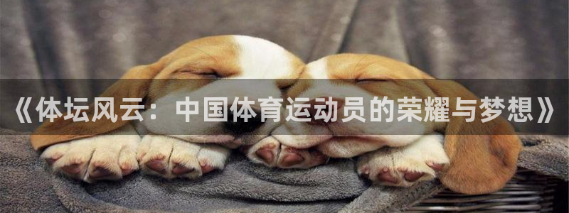 一竞技官网下载招商电话：《体坛风云：中国体育运动员的