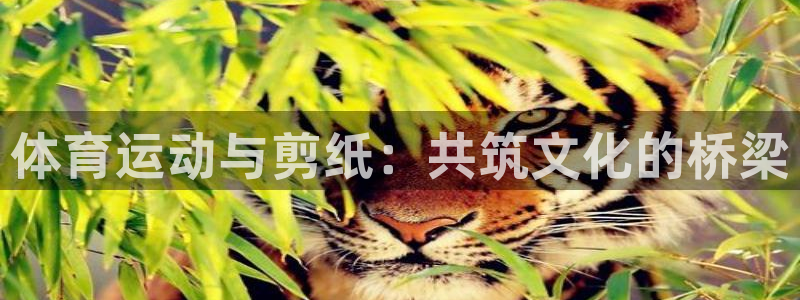 一竞技官网下载开户