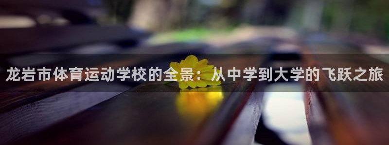 一竞技官网下载平台：龙岩市体育运动学校的全景：从中学到大学的