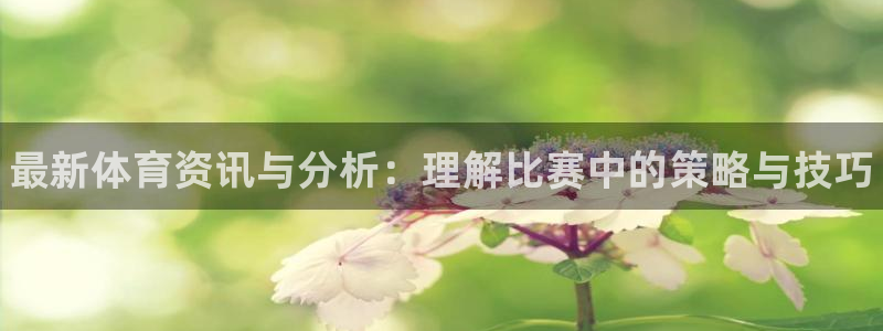 一竞技官网下载平台是正规平台吗：最新体育资讯与分析：理解比赛