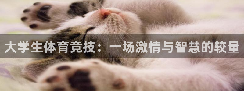 一竞技官网下载招商电话地址