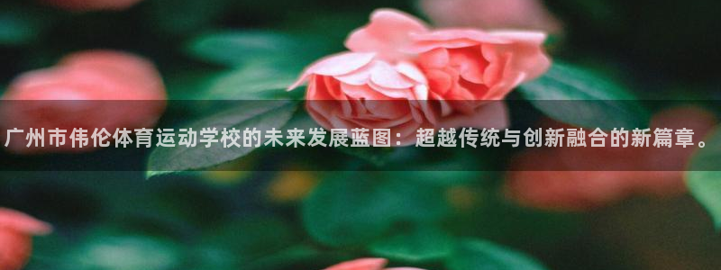 一竞技官网下载招商:广州市伟伦体育运动学校的未来发展蓝图:超