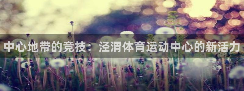 一竞技游戏登录入口：中心地带的竞技：