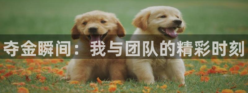 一竞技官网登录：夺金瞬间：我与团队的精彩时刻