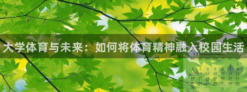 一竞技官网下载软件：大学体育与未来：如何将体育精神融入校园生