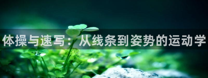 一竞技官网下载平台是正规平台吗：体操与速写：从线条到姿势的运