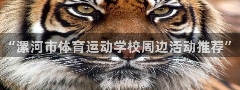 一竞技官网下载平台APP：“漯河市体育运动学校周边活动推荐”