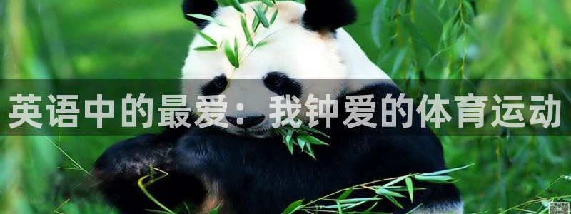 一竞技官网下载招商电话：英语中的最爱：我钟爱的体育运
