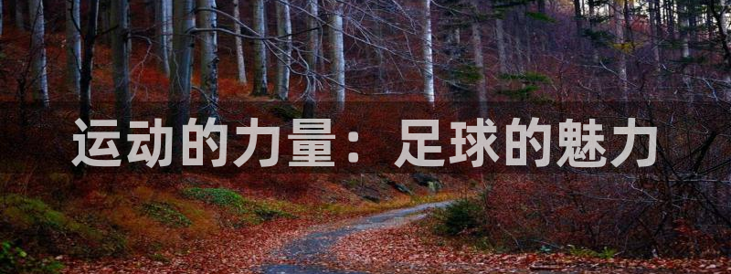 一竞技官网下载招商电话号码查询：运动的力量：足球的魅力