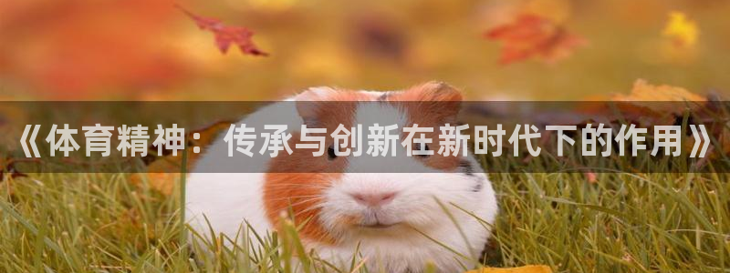 一竞技官网下载招商电话号码查询是多少:《体育精神:传承与创新