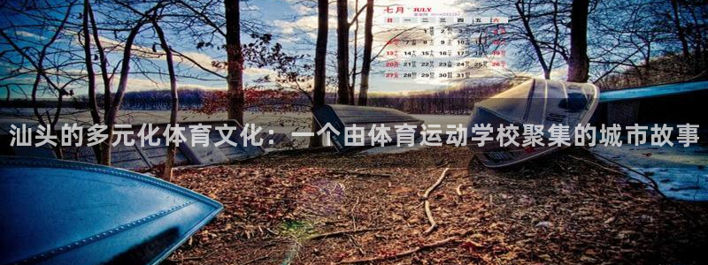 一竞技官网下载平台是正规平台吗：汕头的多元化体育文化