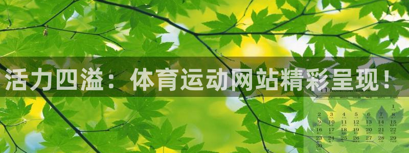 一竞技官方集团官网：活力四溢：体育运动网站精彩呈现！