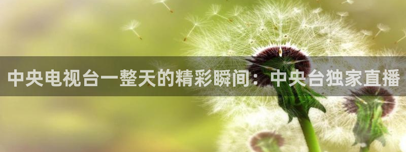 足球赛事直播吧：中央电视台一整天的精彩瞬间：中央台独家直播