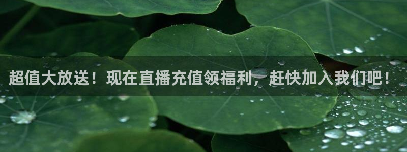 飞速体育nba直播吧：超值大放送！现在直播充值领福利，赶快加入我们吧！