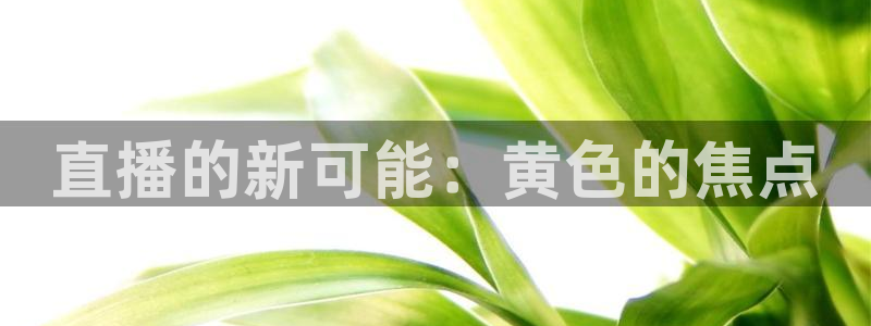 nba直播吧啊：直播的新可能：黄色的焦点