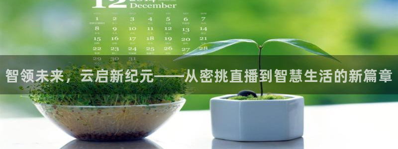 体育直播吧下载免费：智领未来，云启新纪元——从密挑直播到智慧生活的新篇章